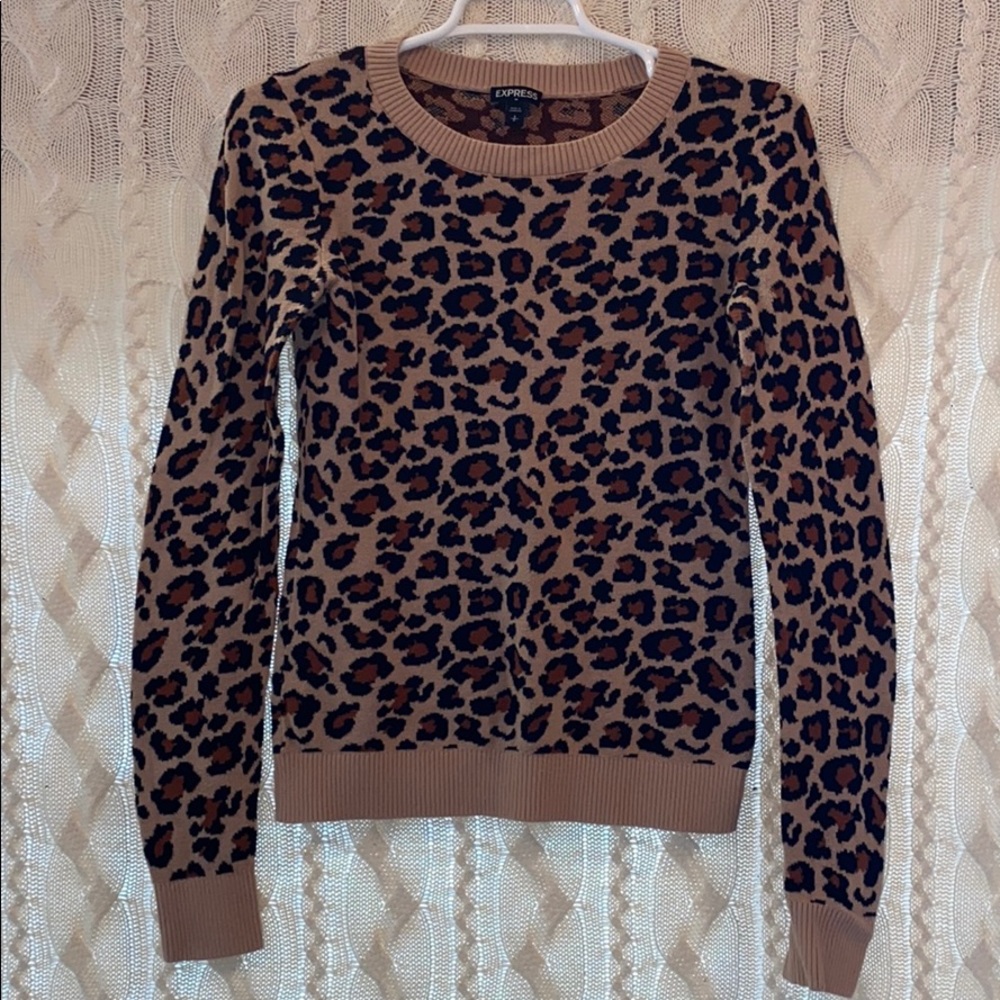 🐆 Cheetah print Express sweater